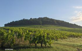 La maison du vigneron